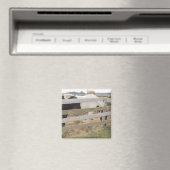 絵を描馬/ピント マグネット (インサイチュ (食洗機))