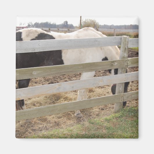 絵を描馬/ピント マグネット (正面)