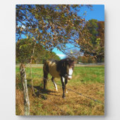 絵を描馬 フォトプラーク (正面)