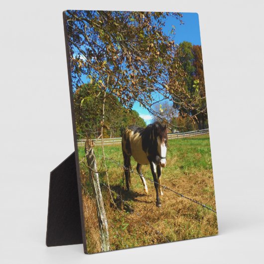 絵を描馬 フォトプラーク (側面)