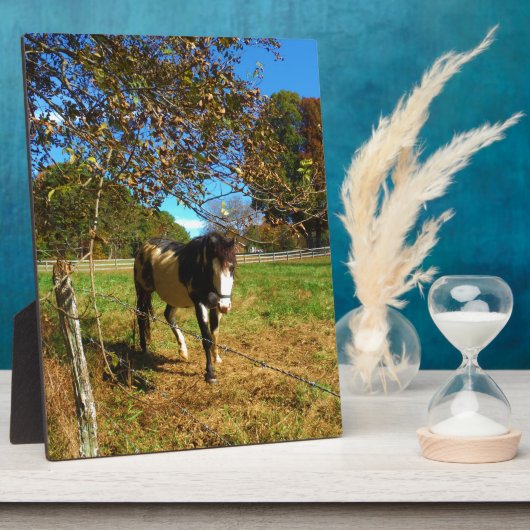 絵を描馬 フォトプラーク (側面)