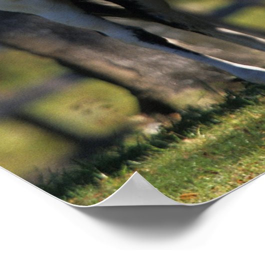 絵を描馬 ポスター (角)