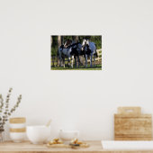 絵を描馬 ポスター (キッチン)