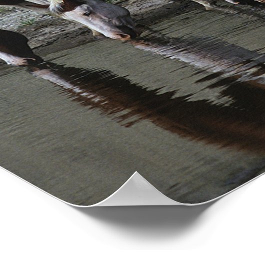 絵を描馬 ポスター (角)