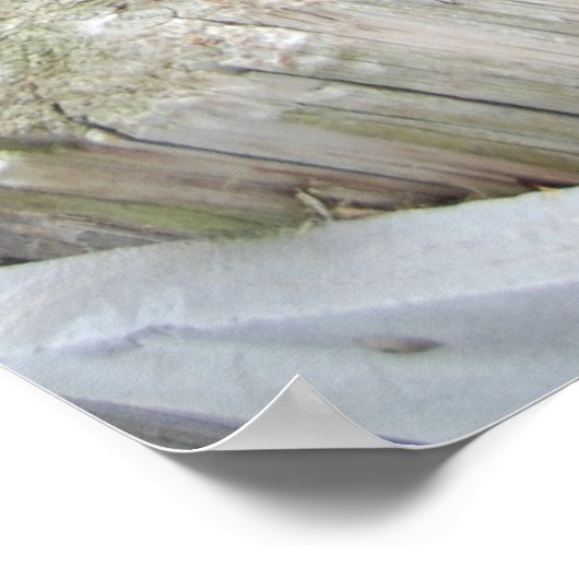 絵を描馬 ポスター (角)