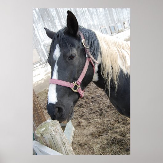 絵を描馬 ポスター (正面)