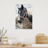 絵を描馬 ポスター (キッチン)