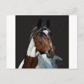 絵を描馬 ポストカード (正面)