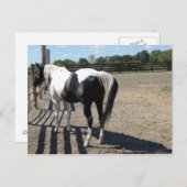 絵を描馬 ポストカード (正面/裏面)