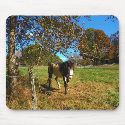 絵を描馬 マウスパッド (正面)