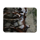 絵を描馬 マグネット (横)