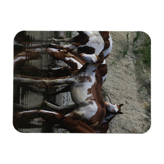 絵を描馬 マグネット (横)