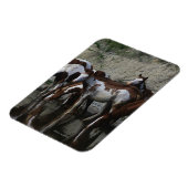 絵を描馬 マグネット (左側)