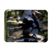 絵を描馬 マグネット (横)