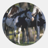 絵を描馬 ラウンドシール (正面)