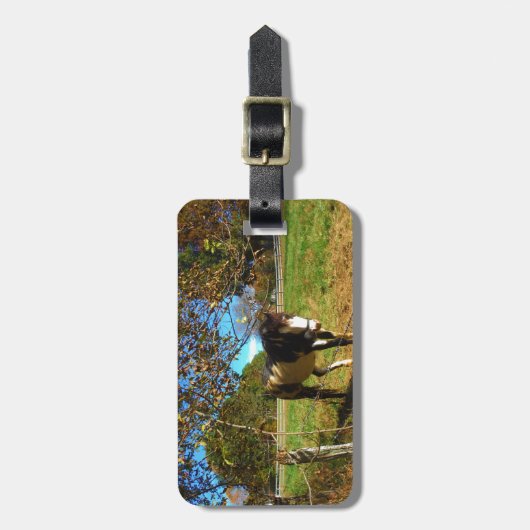 絵を描馬 ラゲッジタグ (正面縦)