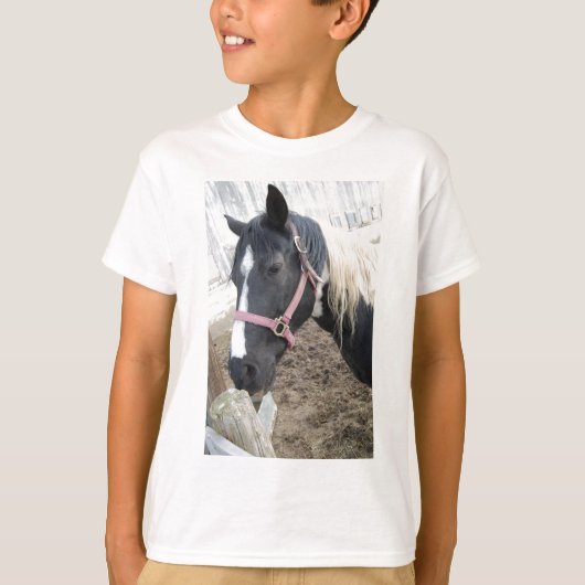 絵を描馬 Tシャツ (正面)