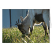 絵を描 (正面横)