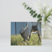 絵を描 (スタンド正面)