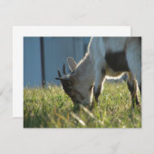 絵を描 (正面/裏面)