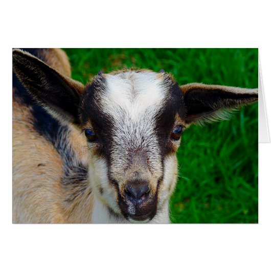 絵を描 (正面横)