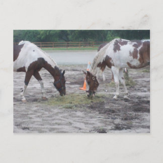 絵を描/ポストカードへ ポストカード