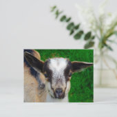 絵を描 ポストカード (スタンド正面)