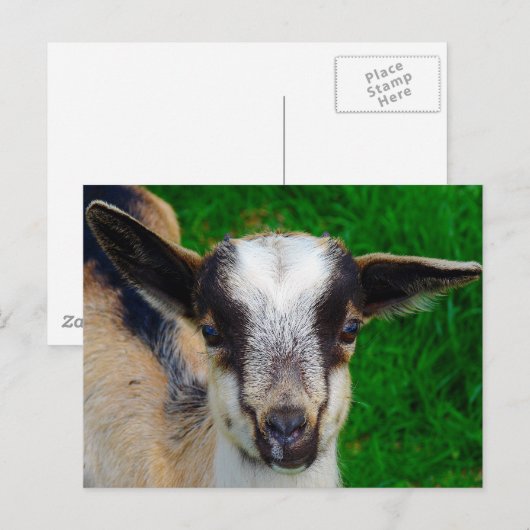 絵を描 ポストカード (正面/裏面)