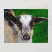 絵を描 ポストカード (正面)