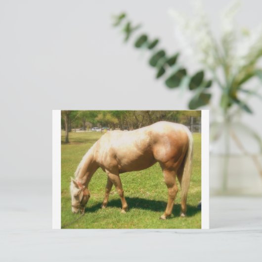 絵を描 ポストカード (スタンド正面)