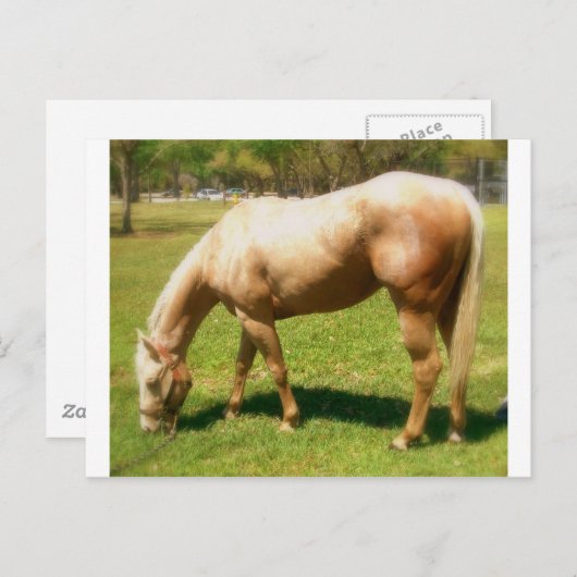 絵を描 ポストカード (正面/裏面)