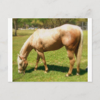 絵を描 ポストカード