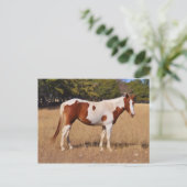 絵を描 ポストカード (スタンド正面)