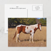 絵を描 ポストカード (正面/裏面)