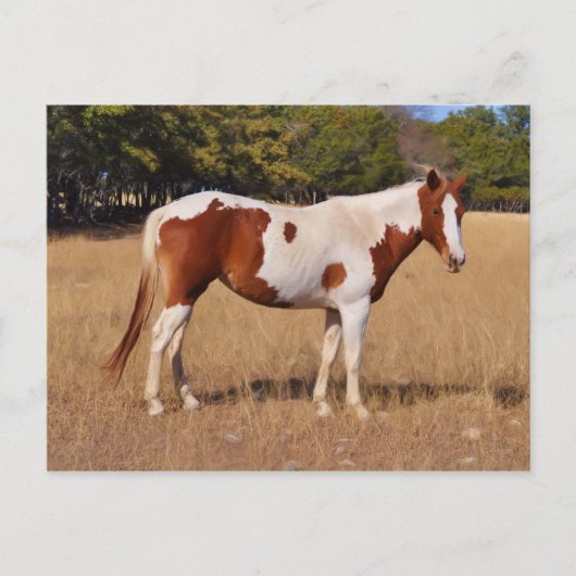 絵を描 ポストカード (正面)