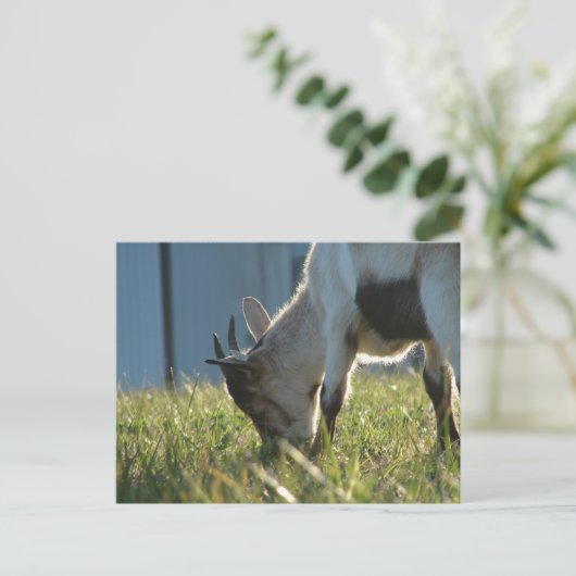 絵を描 ポストカード (スタンド正面)