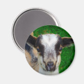 絵を描 マグネット (正面/裏面)