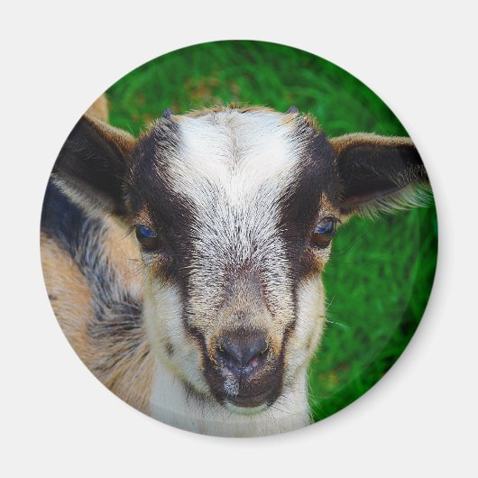 絵を描 マグネット (正面)