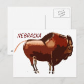 絵を描Bison Nebraskaはがき ポストカード (正面/裏面)