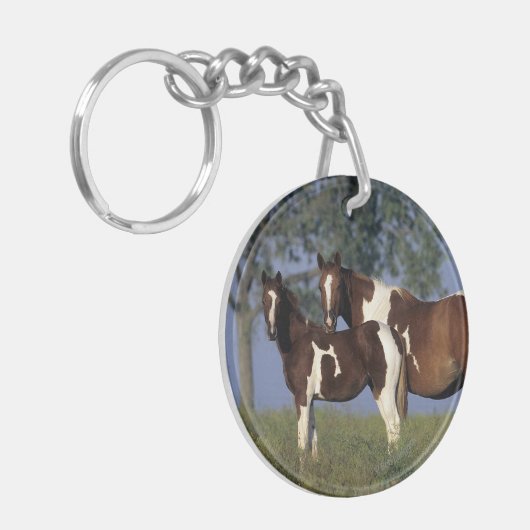 絵を描HMare & Foal キーホルダー (正面左)