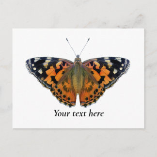 絵を描Lady Butterfly Water 絵を描 Color's ポストカード