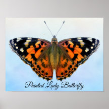 絵を描Lady Butterfly Water Color絵を描's Poster