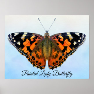 絵を描Lady Butterfly Water Color絵を描's Poster ポスター