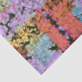 絵を描Shape 薄葉紙 (詳細)