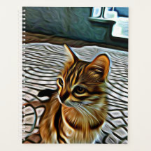 絵画の美しい猫