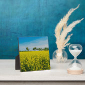 絵画の黄色い花畑 フォトプラーク (インサイチュ)