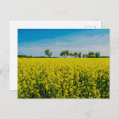 絵画の黄色い花畑 ポストカード (正面/裏面)