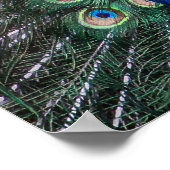 絵画孔雀の羽が広がっている ポスター (角)