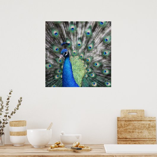 絵画孔雀の羽が広がっている ポスター (キッチン)