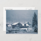 絵葉書《植物》アスペン ポストカード (正面/裏面)